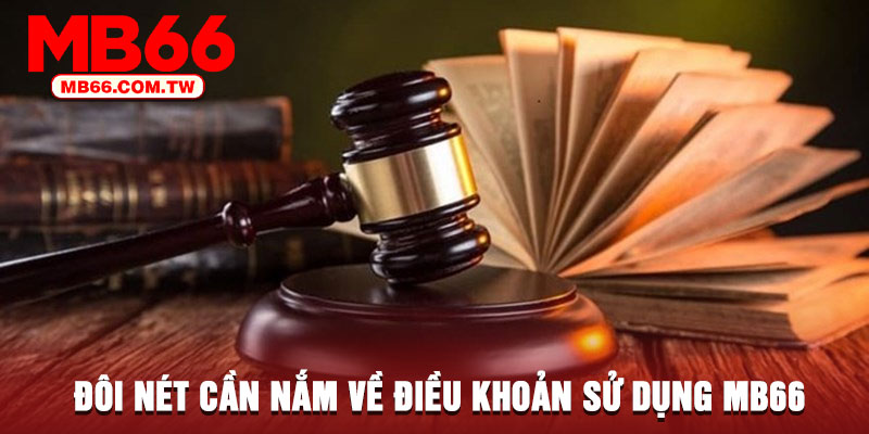 Đôi nét cần nắm về điều khoản sử dụng MB66
