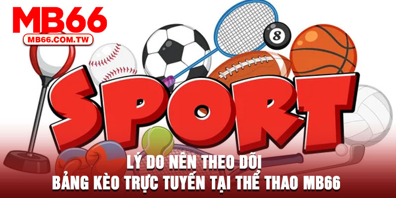 Lý do nên theo dõi bảng kèo trực tuyến tại thể thao MB66
