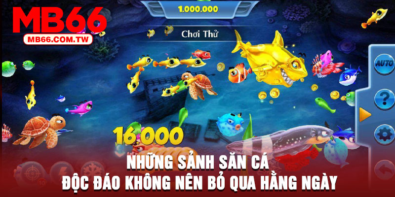 Những sảnh săn cá độc đáo không nên bỏ qua hằng ngày