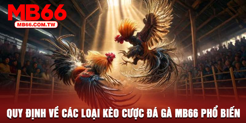 Quy định về các loại kèo cược đá gà MB66 phổ biến